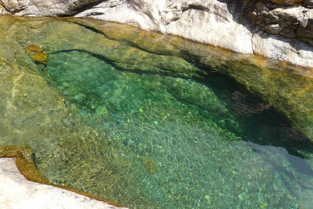 Le Capu Biancu-Location Avec Vue Proche Des Gorges De L Asco Entre Mer Et Montagne Moltifao Exterior photo