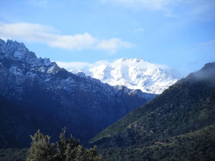 Le Capu Biancu-Location Avec Vue Proche Des Gorges De L Asco Entre Mer Et Montagne Moltifao Exterior photo